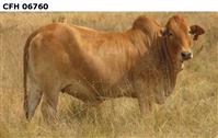 CFH 06-760
