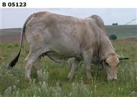 B 05-123
