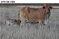 CFH 06-760