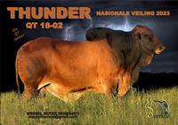 QT 18-02 THUNDER
